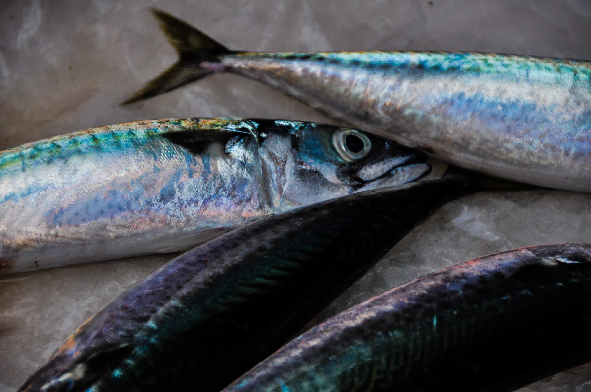 Catania Fish Markets