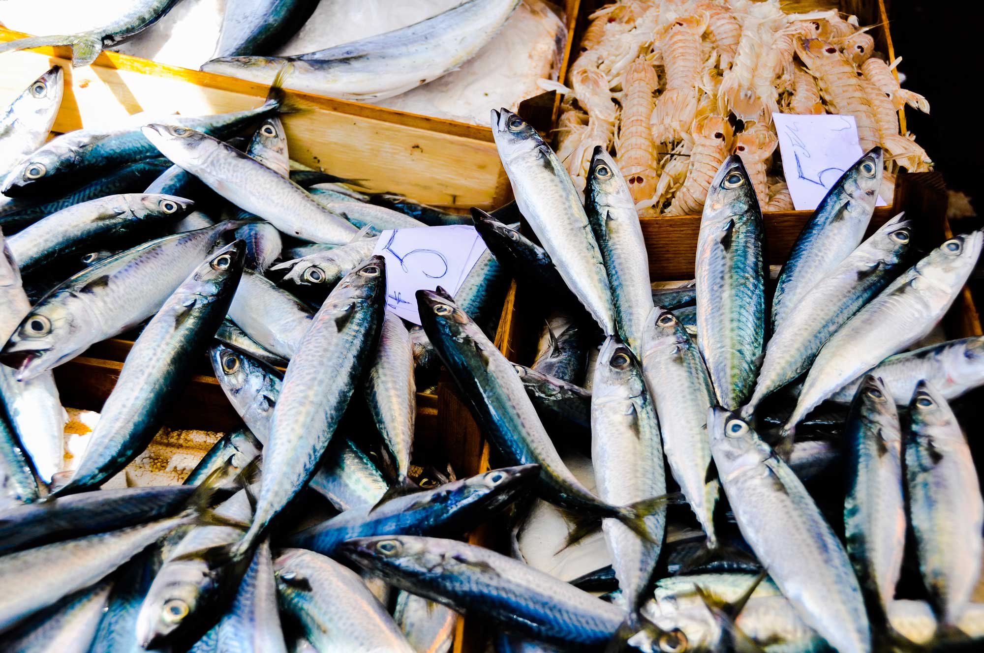 Catania Fish Markets