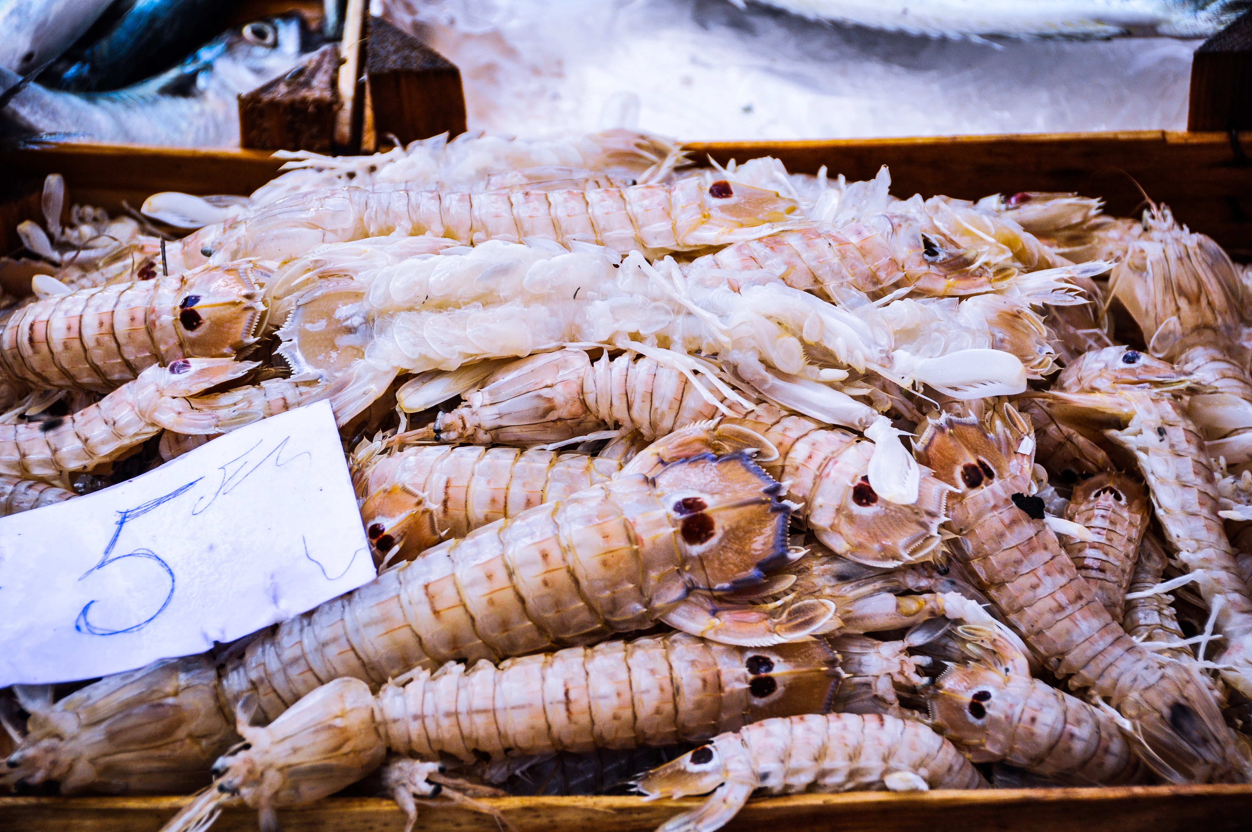 Catania Fish Markets