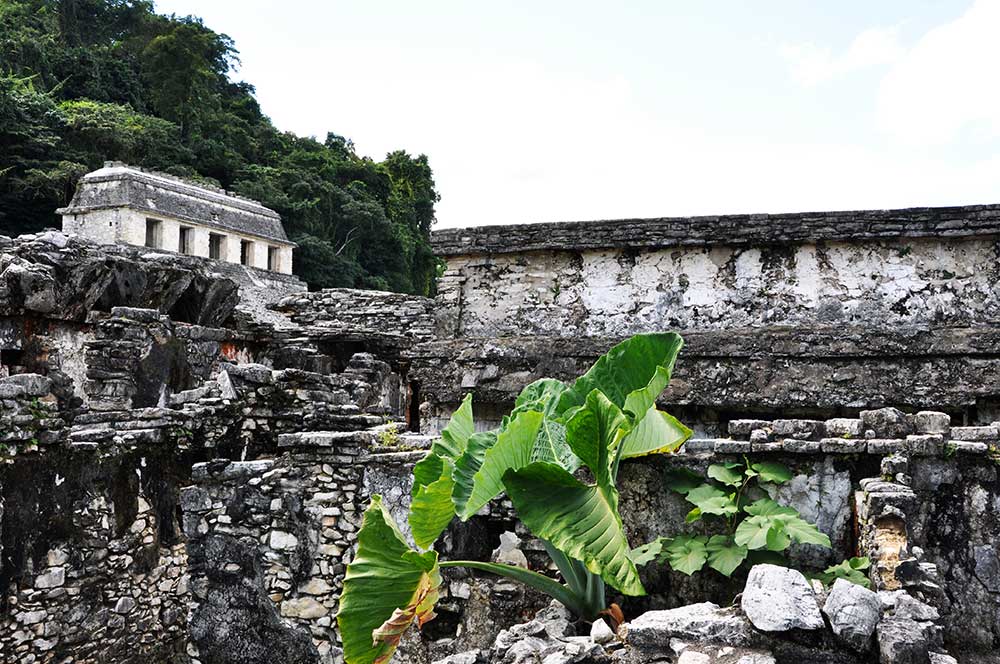 Chiapas