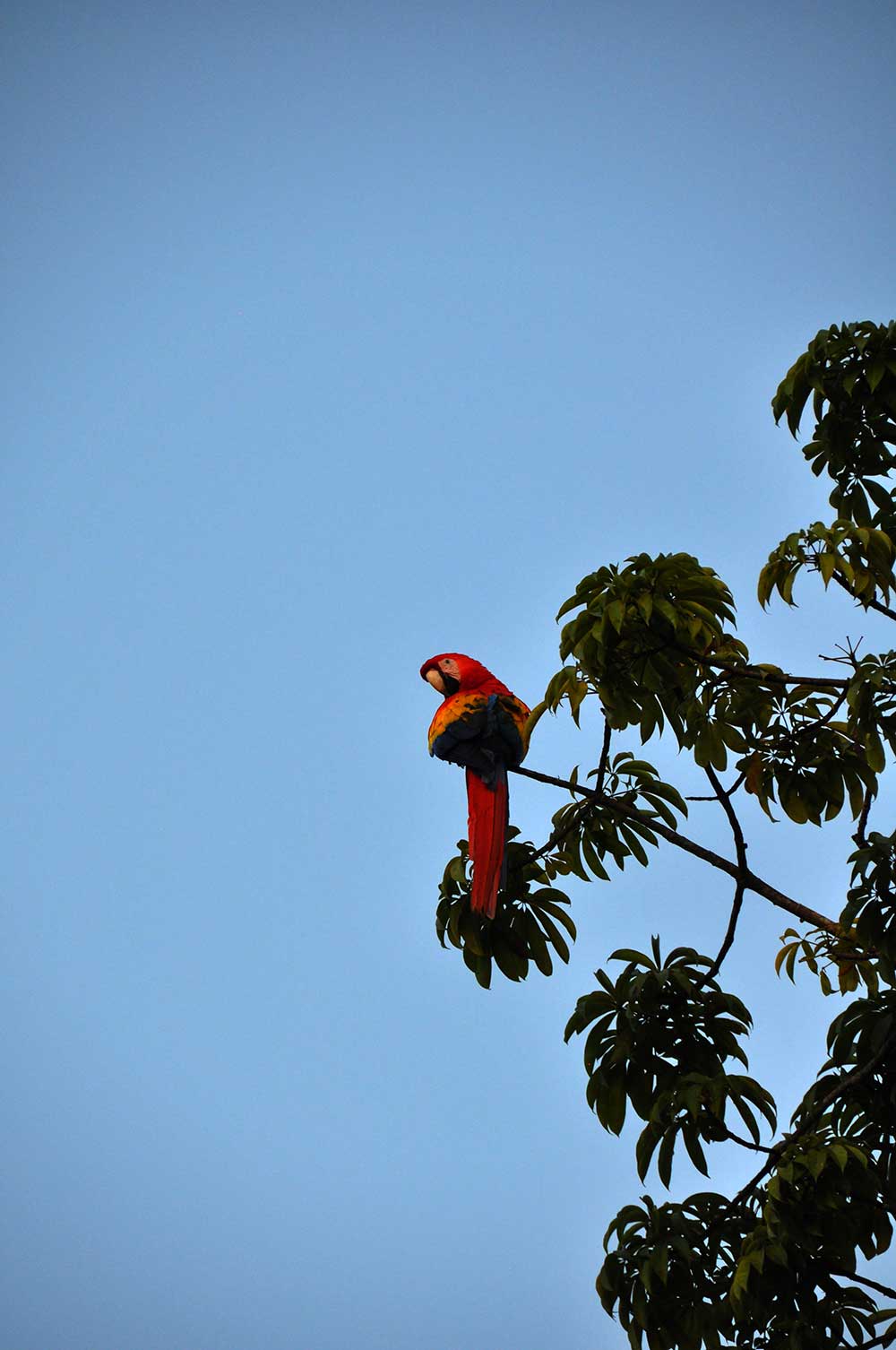 Chiapas