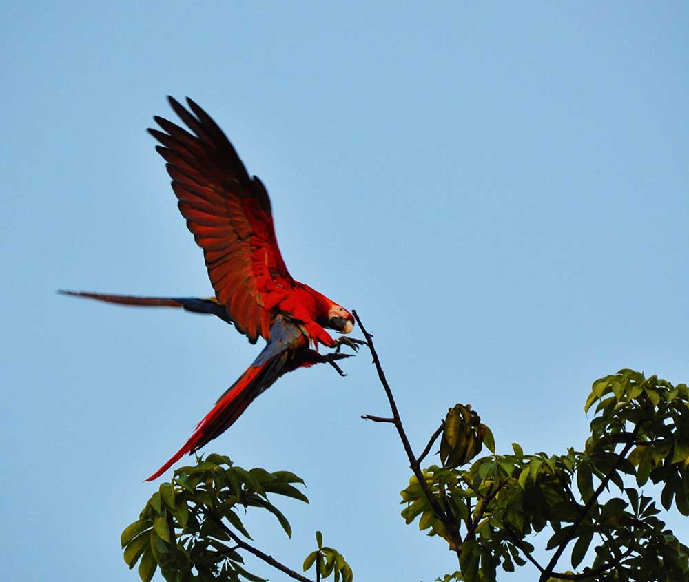 Chiapas