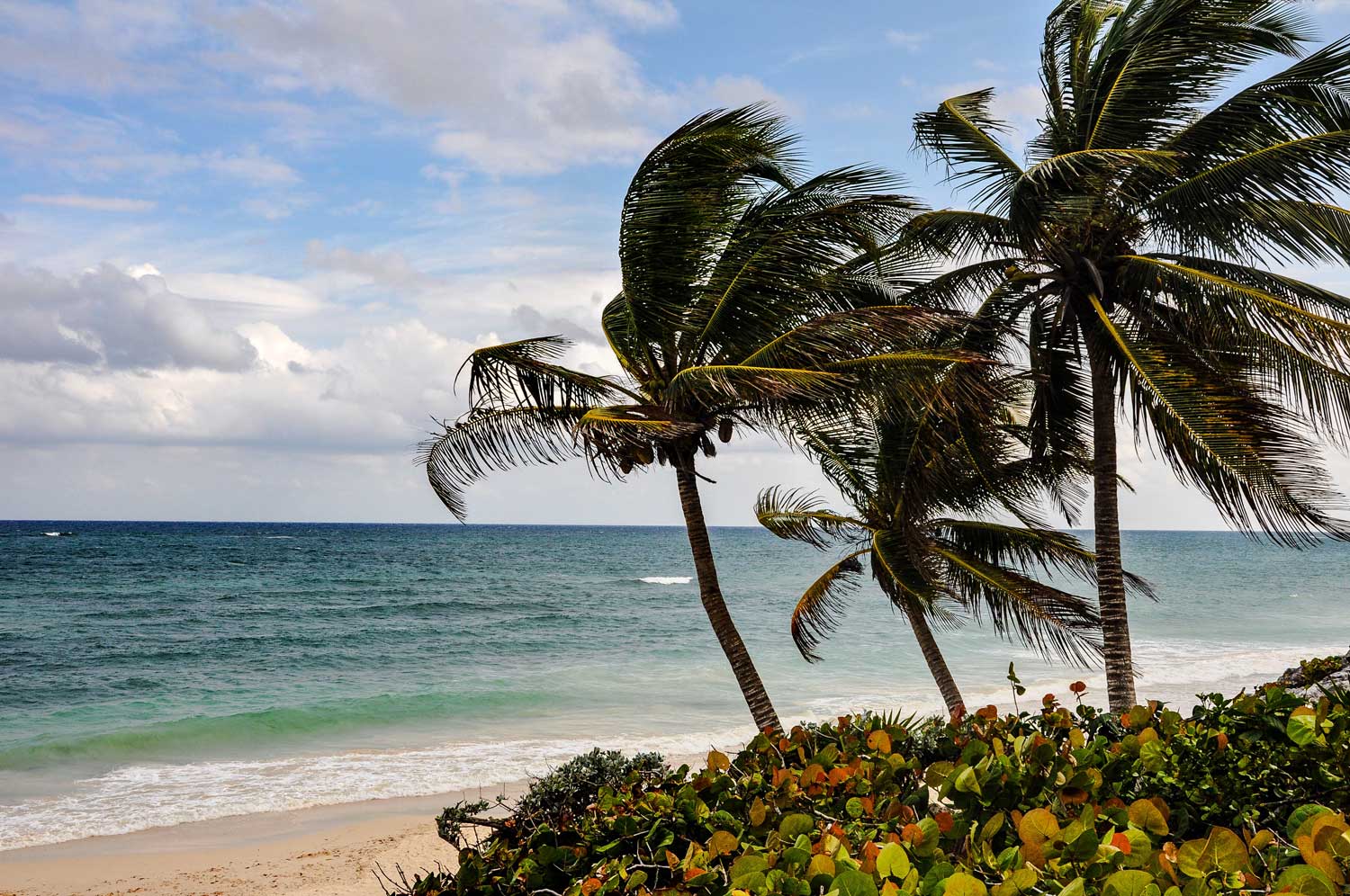 Quintana Roo